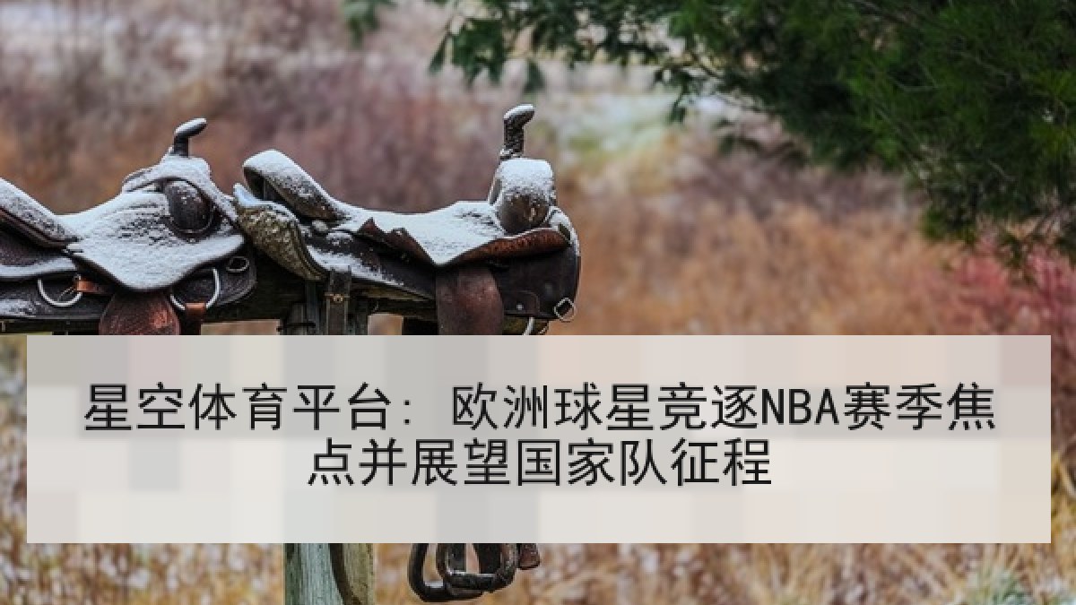 星空体育平台: 欧洲球星竞逐NBA赛季焦点并展望国家队征程