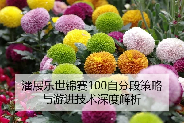 潘展乐世锦赛100自分段策略与游进技术深度解析